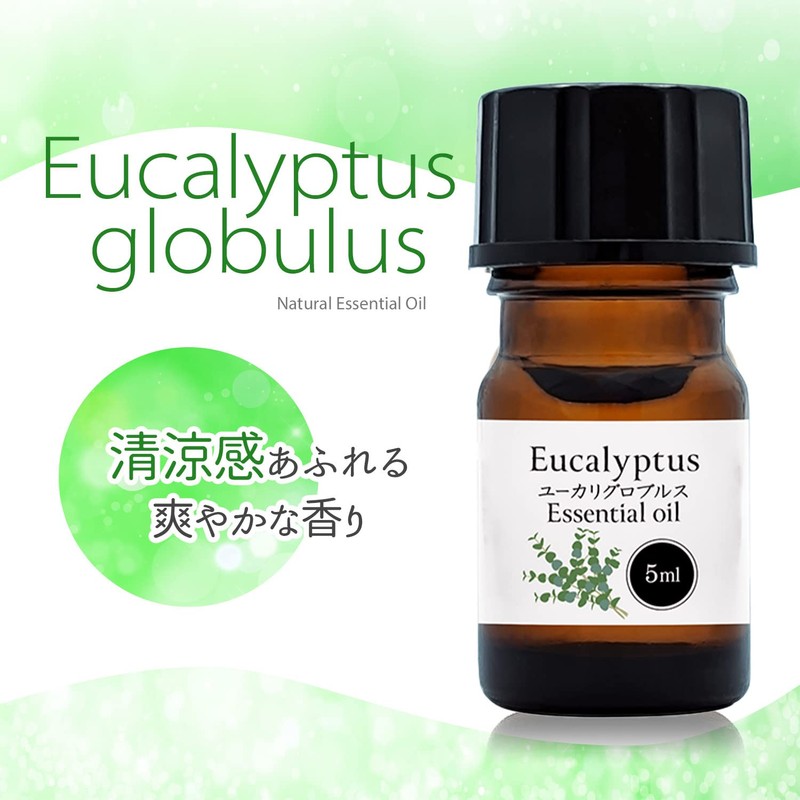 Natural 100% Eucalyptus Globulus Oil 5ml Aroma Oil Eucalyptus