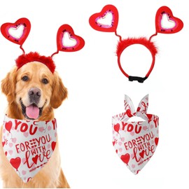 JYACRQBB Valentine's Day pet headband set, love headband collar, holiday birthday party headwear, kitten and puppy clothing gifts