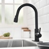 Black Kitchen Faucets with Pull Down Sprayer Kitchen Sink Faucet