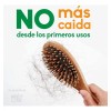 Shampoo De Romero Shampoo Anticaída De Sabila Y Jojoba