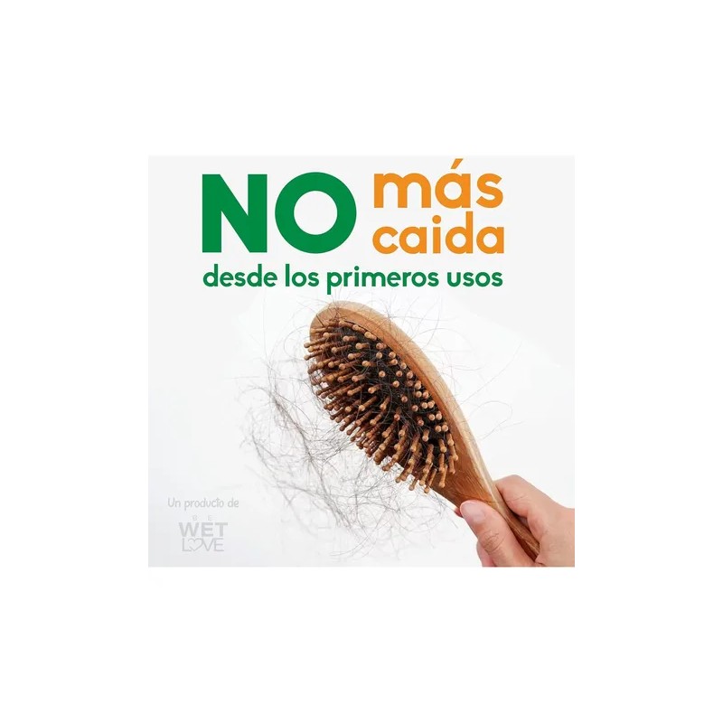 Shampoo De Romero Shampoo Anticaída De Sabila Y Jojoba