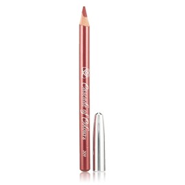 Cascade of Colours Lip Liner Pencil 309
