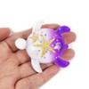 Real Bug MT336 Turtle Shaped Magnet with Starfish and Shells,