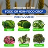 AgroMagen, Si-Tech Silica, Mono-Silicic Acid Plant Nutrient Solution with Chelation