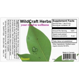 Wildcraft Herbs Wildcraft Herbs Teasel Herb Tincture Extract 4 oz