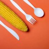 We Care - Cuchara Desechable 100 Biodegradable