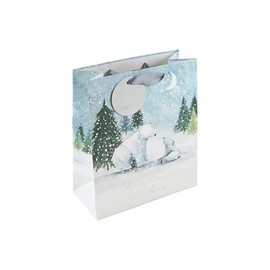 Eurowrap White Kraft Paper Christmas Wishes Polar Bear Gift Bag with Gift Tag - Medium - Eco Friendly Fully Recyclable - Gift Bag for Christmas, Gift Wrap, Xmas, Festive Gift Bag