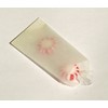 Mini Glassine Wax Paper Bags - 2 X 3 3/4