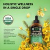 USDA Organic Mullein Drops for Lungs - Mullein Leaf &