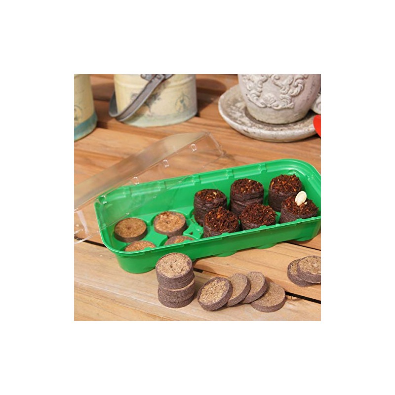 Meister Coconut swelling tablets, diameter 3.5 cm, practical set of