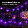 Halloween LED String Lights for Indoor & Outdoor Decor –