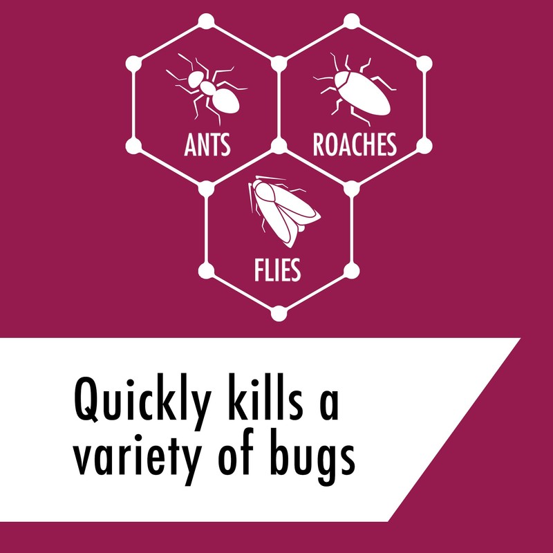 Stem Kills Ants, Roaches And Flies: Plant-Based Active Ingredient Bug