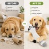 No-Stuffing Dog Squeaky Toy for Interactive Play – 45cm Crinkle