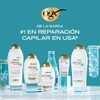 OGX, Body Wash Humectante de Aceite de Coco, 577 ml