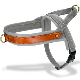 Bubutas Dog Harness, For Small/Medium/Large Dogs, Stylish Brand, Non-Pulling, French Bulldog, Adjustable Size, Breathable, Mesh, Walking Aid, For Walking, Lawing, Lightweight, Safe, Coughing, Training