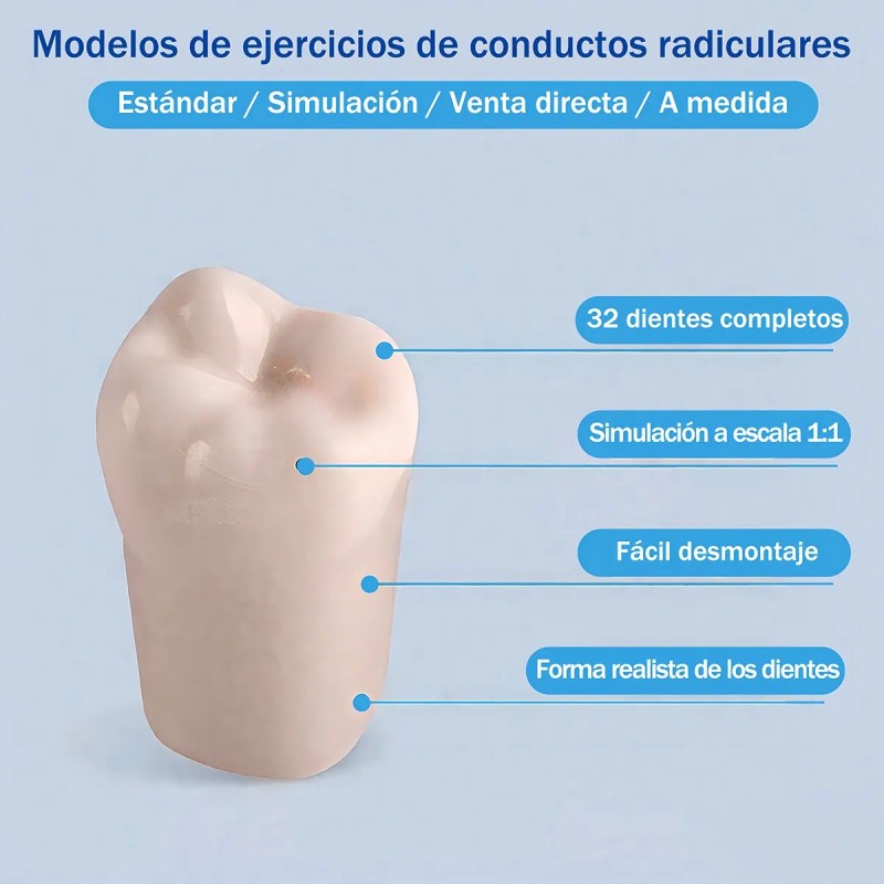 Paquete Dientes Compatibles Nissin Tipodonto