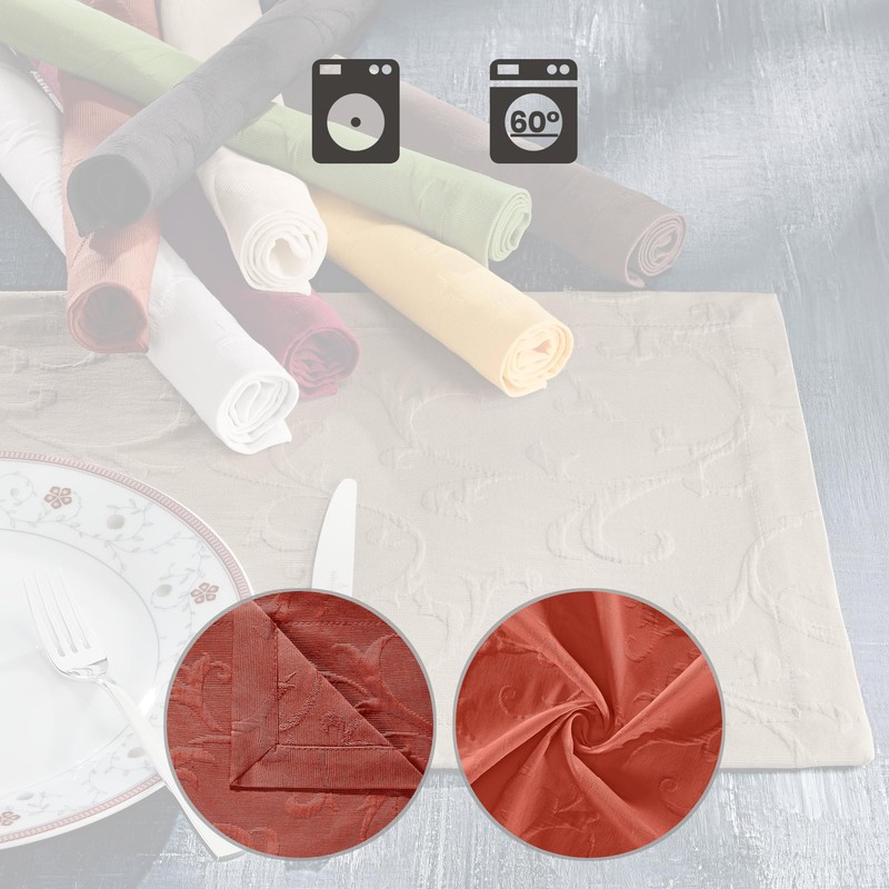 Erwin Müller Düsseldorf Placemats Set of 2 Non-Iron Terra Size