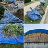 GARDENIX Multi-Purpose Tarpaulin, Fabric Tarpaulin, Protective Tarpaulin, Green, 90 g/m²