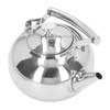 Stainless Steel Teapot Tea Kettle with Removable Filter High Temperature