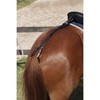 NORTON CLUB Tail Strap Pony Black