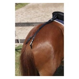 NORTON CLUB Tail Strap Pony Black