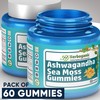 HERBOGANIC Ashwagandha Sea Moss Gummies - 60 Count