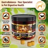 GastroBalance dog coprophagia relief – 100% natural ingredients coprophagia deterrent