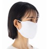 Easy Free Mask, 2 Pieces, Made in Japan, Cupro Cooling,