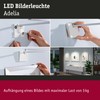 Paulmann Adelia 95574 LED Picture Light 370 lm Including 1
