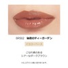 MAQUILLAGE Dramatic Essence Rouge BR502 Secret Tea Garden (Limited Rich
