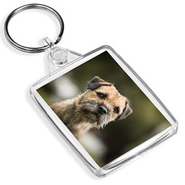 Border Terrier Keyring Dog Puppy Cute Cheeky Kids Animals Pets Fun Gift #15940