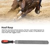 Horseshoe File Low Alloy Tool Steel Solid Hardness Shoeing Rasp