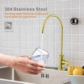 Drinking Water Faucet Brushed Gold, Wellup Reverse Osmosis Faucet for Non Air Gap RO Water Filtration System, Lead-Free Stainless Steel Kitchen Water Filter RO Faucet for Kitchen Bar Sink