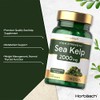 Sea Kelp 2000 mg | 180 Vegan Tablets | Natural