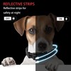 Maiiu Reflective Dog Collar with Safety Locking Buckle, Adjustable Soft