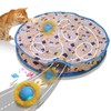 Giociv Interactive Cat Toys Ball Fast Rolling in Pouch, Motion