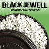 Black Jewell Gourmet Specialty Popcorn Kernels, Original Black (Pack of