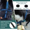 BARKLESS Dog Muzzle, Basket Muzzle for Small Medium Large Dogs,