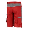 Qualitex PRO MG 245 Shorts in Various Colours - 52