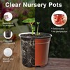 WandaQueen 30 Packs 5 Inch Reinforced Clear Nursery Pots for