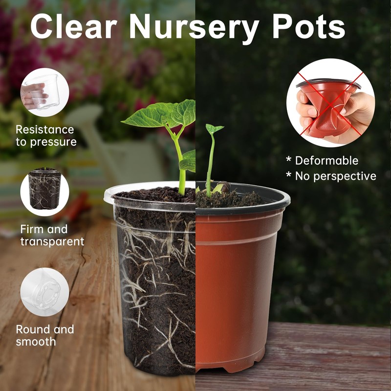 WandaQueen 30 Packs 5 Inch Reinforced Clear Nursery Pots for