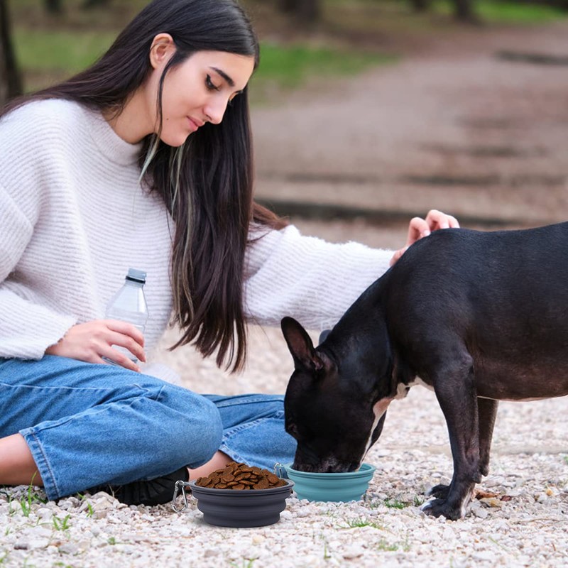 Kytely 2 Pack Collapsible Dog Bowl Medium, 650ML Collapsible Dog