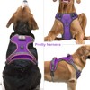 Vizbrite Light Up Dog Harness, No Pull LED Dog Harness