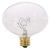 Satco S3822 120V Candelabra Base 25-Watt G16.5 Light Bulb, Clear