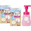 Gray Hair Dye Houyou Bigen Pump Color 2RB (Light Rich