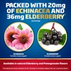 Defend-EEZE Immune Support Dietary Supplement Lozenges, 100% Daily Value of
