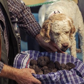 Valnerina Tartufi Whole Truffle Black Summer | Natural, Artisanal and Italian Truffles stored in his own Juice | Jar 100 gr.