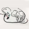 PIT66 Standalone Wiring Harness Compatible with 2003-2007 LS Vortec Engines