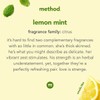 Method Gel Dish Soap Liquid, Lemon Mint, Tough on Grease,