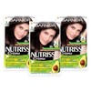 Garnier TRIPLE Nutrisse Permanent Hair Dye - 3 Darkest Brown